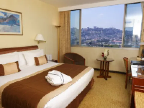 馬達加斯加卡爾頓酒店 北塔那那利佛區酒店