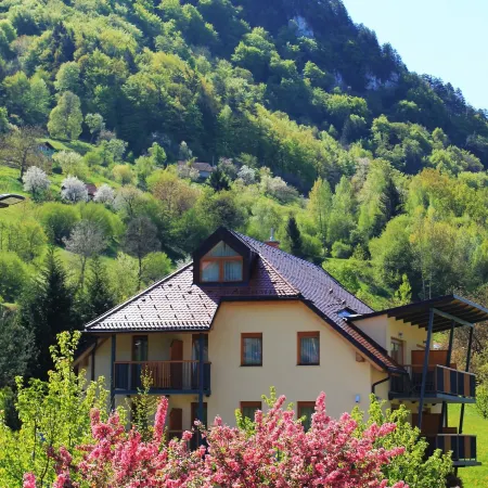 Villa Aina Boutique Hotel Hotele w: Lasko
