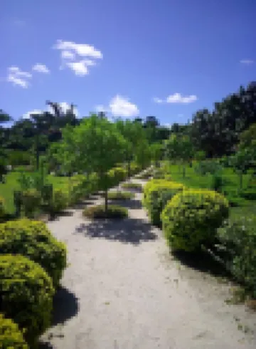 Alofa Beach Bungalows
