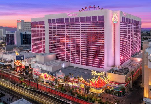 플라밍고 호텔 이미지