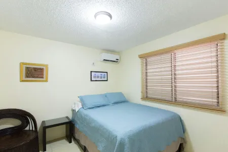 New Kingston Guest Apartment IV