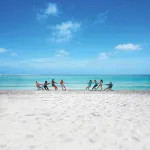 Hilton Sandestin Beach Golf Resort & Spa - Beach