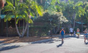 The Palms at Avoca