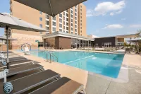 Embassy Suites Denton Convention Center - Pools