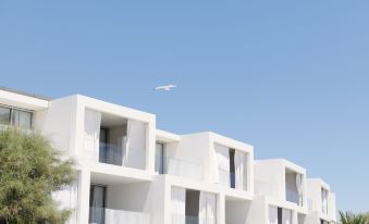 Hôtel Plage Palace & Spa