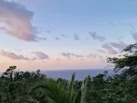 LF Jungle Retreat Hotels in Drapers