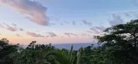 LF Jungle Retreat