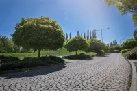 아파티 리빙 II.