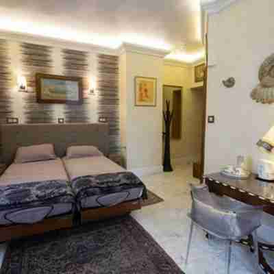 Chateau de Druon Rooms