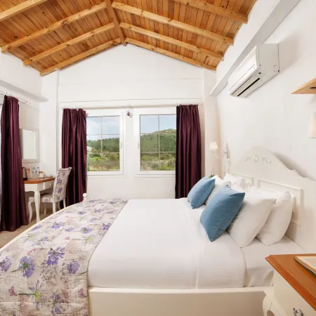 Vinifera Vineyards Hotel