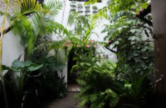 Malindi Guest House Hotels in 