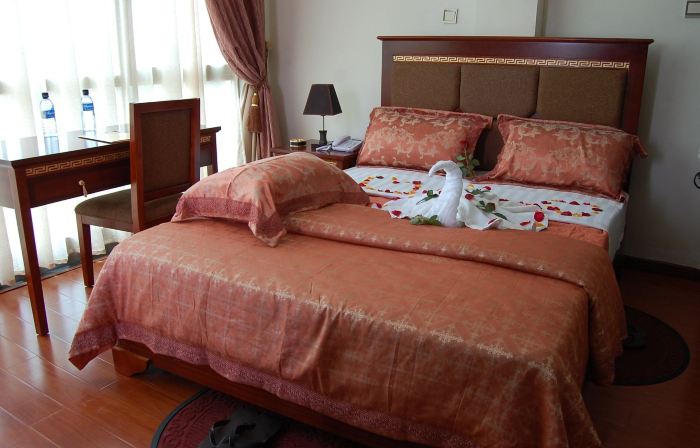 Addis Amba Hotel