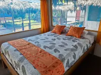Canopy Tours Iquitos