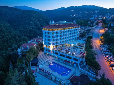 Asr-ı Ala Yalova Thermal Hotels in 