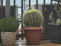 Appartamenti Scilla Paese Albergo Hotels in Scilla