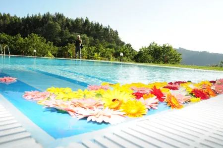 Hotel Rural Quinta da Conchada Отели в г. Сан-Педру-де-Алва