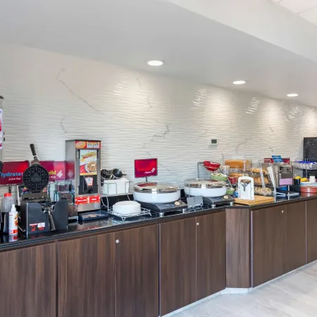 Best Western Plus McAllen Airport Hotel