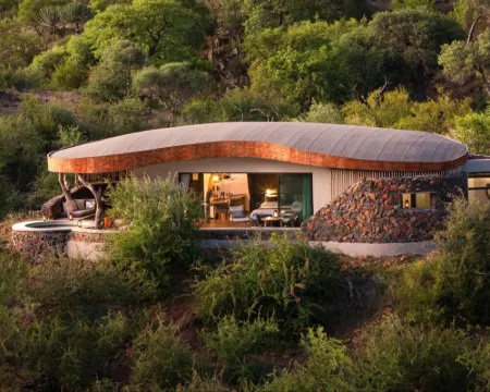 Euphorbia Mashatu 博博農酒店