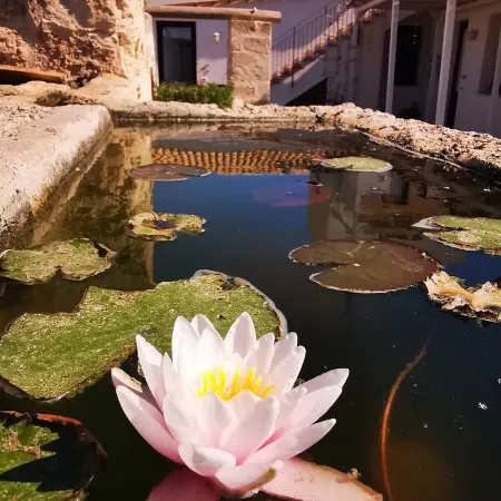 Casa Vacanze Senia Del Rais