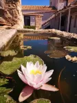 Casa Vacanze Senia Del Rais Hotel a Favignana
