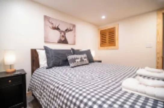 Lift Haus - True Ski-in Ski-Out - Clean • Modern • Easy