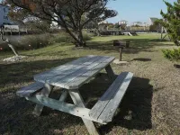 Artful Comfort Honoring Sailors and the Sea
