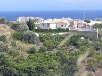 Quiet, cheerful apartment as the crow flies 300m from the beach