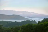 Daintree Valley Cottage