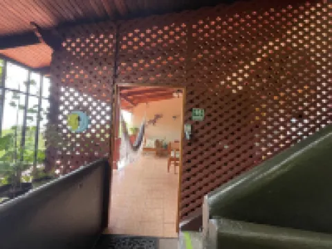 Gorgeous Views of Pacific and Rainforest