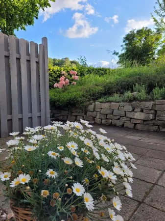 Country Idyll, Child-Friendly, Minipigs, Ponies, up to 11 People Отели в г. Хальфер