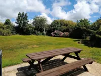 4 bedroom barn conversion on smallholding with alpacas, goats and pigs