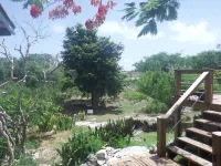 Island Retreat Near Tropic of Cancer Beach