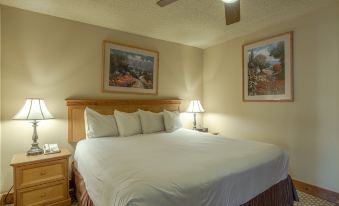 Grand Lodge Condo in the Heart of Mt Crested Butte 1 Bedroom Condo - No Cleaning Fee! by RedAwning