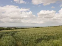 Ross Cottage Hotel di Evesham