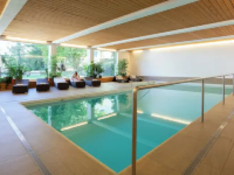 Hotel des Alpes Hotels in Flims