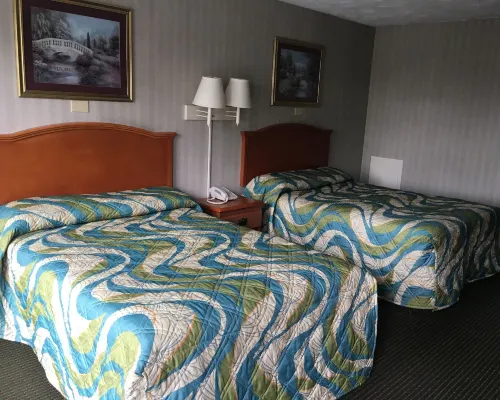 Alpine Motel Hotels in Abingdon