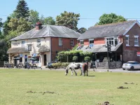 Foxes Earth Hotels in Copythorne
