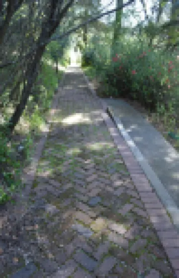 Glen Morey Country House B & B Inn