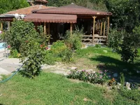 Priene Pansiyon Hotels in Soke