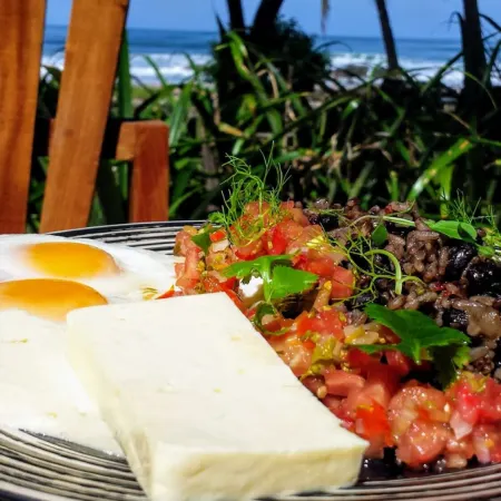 Hotel Tropico Latino