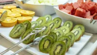 호텔 로사마르 맥심 - 성인 전용 +21 - 조식 운영