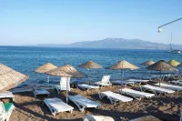 Ekin Assos