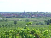 Hotel "Weinheber" Hornung Hotels in Weisenheim am Berg