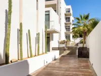 For couples, petfriendly 2 BR ocean view 18 4pax Hotels near Los Cabos Corridor