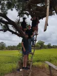 Pura Handa Home Stay Hotels in Kandalama