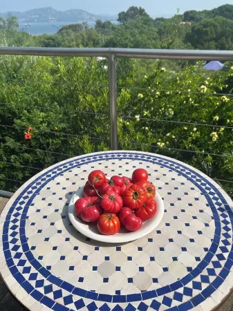 Holiday house in Giens with a fantastic view over the bay of Almanarre Отели рядом с достопримечательностью «Le port de l'ile de Porquerolles»