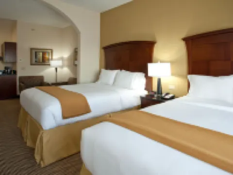 Holiday Inn Express & Suites Austin South-Buda by IHG Hotels in Buda