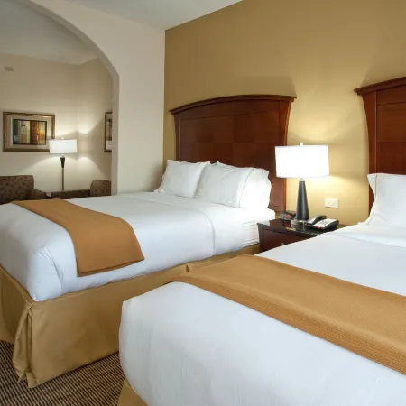 Holiday Inn Express & Suites Austin South-Buda by IHG