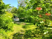 Beautiful beachside house and garden - 2 minutes from the beach!