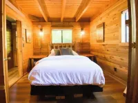 Buffalo Cabin -charming Alpine retreat w/ king bed アルパインのホテル